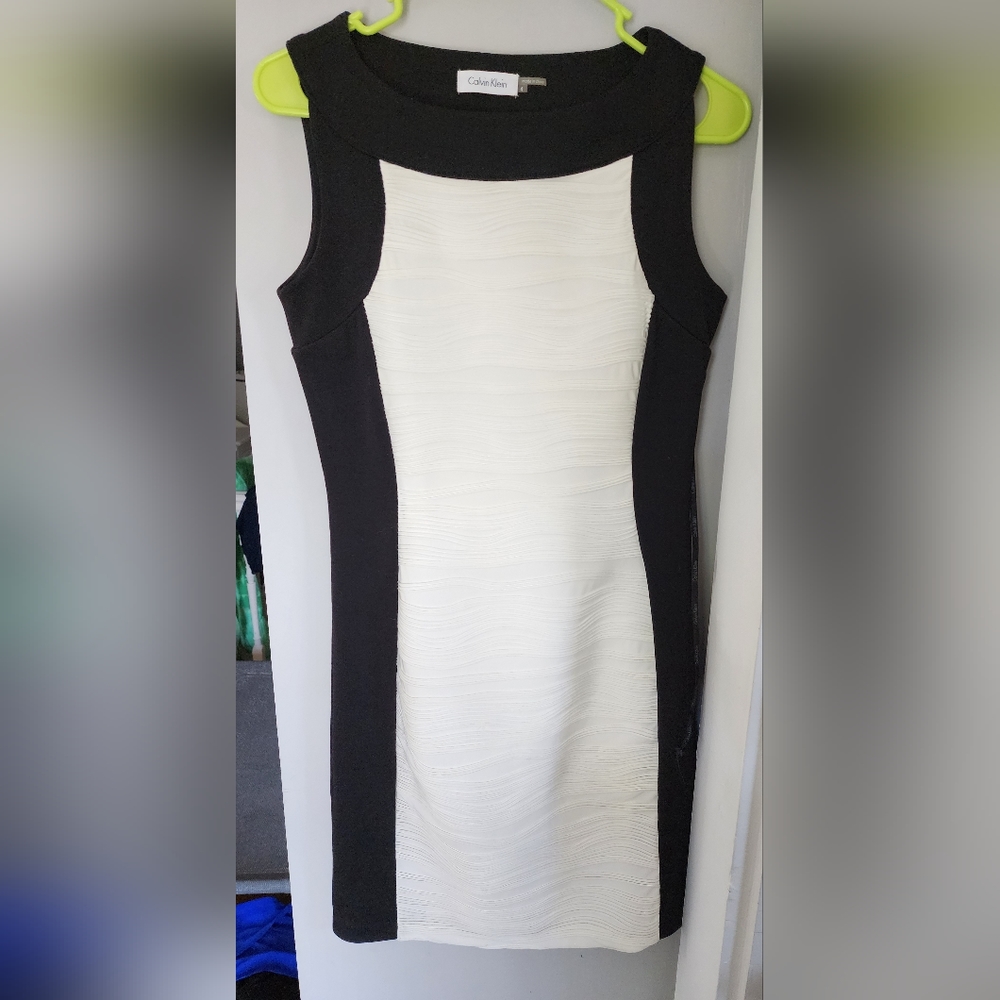 Calvin Klein Professional Dress